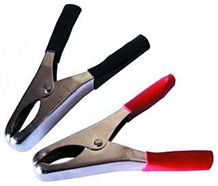 Crocodile isoliert - rot