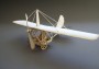 Monoplane ″LEA″ - Paper Model