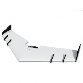 HotWing EVO 1200 ARF Naked