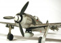 1:48 Focke-Wulf Fw190 F-8/9 with Bomb Loading Set
