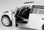 1:18 Škoda Fabia III R5 (2015) – White