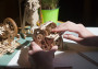 Dřevěné 3D mechanické puzzle – převodovka