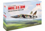 1:48 MiG-25 BM
