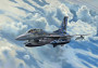 1:72 Lockheed Martin F-16D, Tigermeet 2014