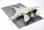 1:48 Grumman F-14A Tomcat (Late Model) Carrier Launch Set