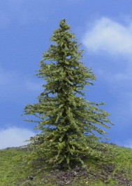Modelářský strom – modřín zelený, výška 8–11 cm