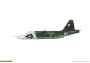 1:48 Sukhoi Su-25K (Limited Edition)