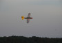 North American P-51D Mustang EPP (Farbig)