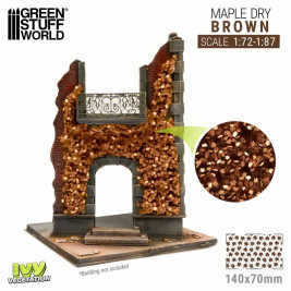 Ivy Foliage – listová foliáž javor hnědý (malý)