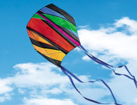 Fantasy Sled – Einleiner-Drache