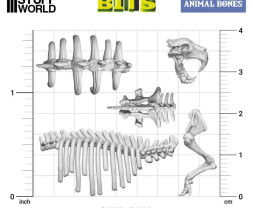 3D Printed Animal Bones – 3D-Tierknochen und Schädel (52 Stück)