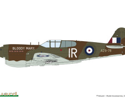 1:48 Pacific Star P-40E Warhawk (Dual Combo, Limited Edition)