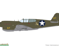 1:48 Pacific Star P-40E Warhawk (Dual Combo, Limited Edition)