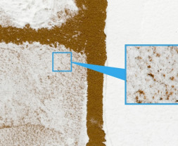 Diorama Texture Paint – Soil Effect Brown (100 ml)