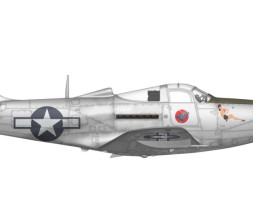 1:72 Bell P-39 Airacobra Reconnaissance