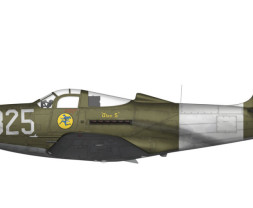 1:72 Bell P-39 Airacobra Reconnaissance