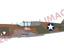 1:48 Curtiss P-40E Warhawk (ProfiPACK edition)