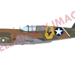 1:48 Curtiss P-40E Warhawk (ProfiPACK edition)
