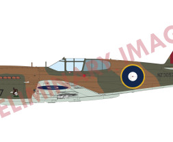 1:48 Curtiss P-40E Warhawk (ProfiPACK edition)