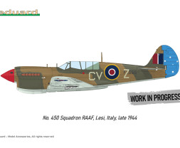 1:48 Curtiss P-40N Warhawk (Royal Class, Dual Combo)