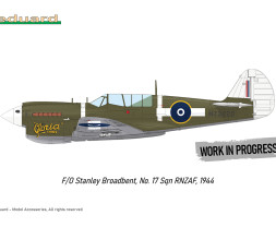 1:48 Curtiss P-40N Warhawk (Royal Class, Dual Combo)