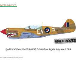 1:48 Curtiss P-40N Warhawk (Royal Class, Dual Combo)