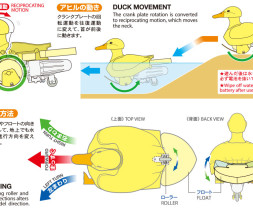 Walking & Swimming Duck (Yellow)