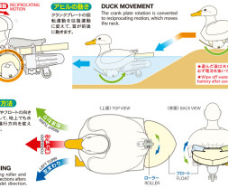 Walking & Swimming Duck (White)