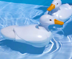 Walking & Swimming Duck (White)