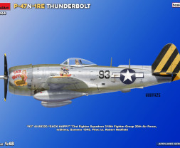 1:48 Republic P-47N-1RE Thunderbolt (basic kit)