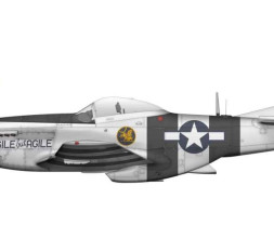 1:72 North American P-51K Mustang