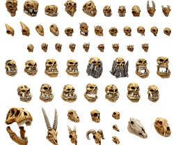 3D Printed Set Battlefield Creature Skulls – 3D-gedruckte Monsterschädel (300 Stück)