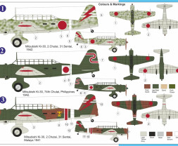 1:72 Ki-30 ″Ann″ In Asian Sky