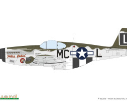 1:48 North American P-51B Malcolm Hood (WEEKEND edition)