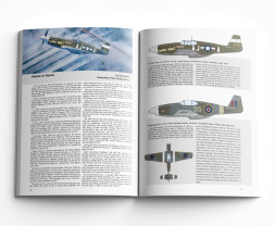 1:32 North American P-51B Mustang (Royal Hybrid, Limited edition)