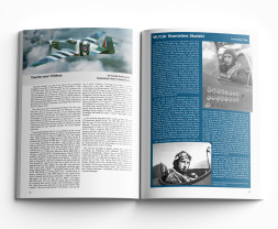 1:32 North American P-51B Mustang (Royal Hybrid, Limited edition)