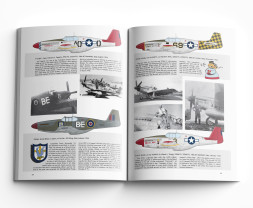 1:32 North American P-51B Mustang (Royal Hybrid, Limited edition)
